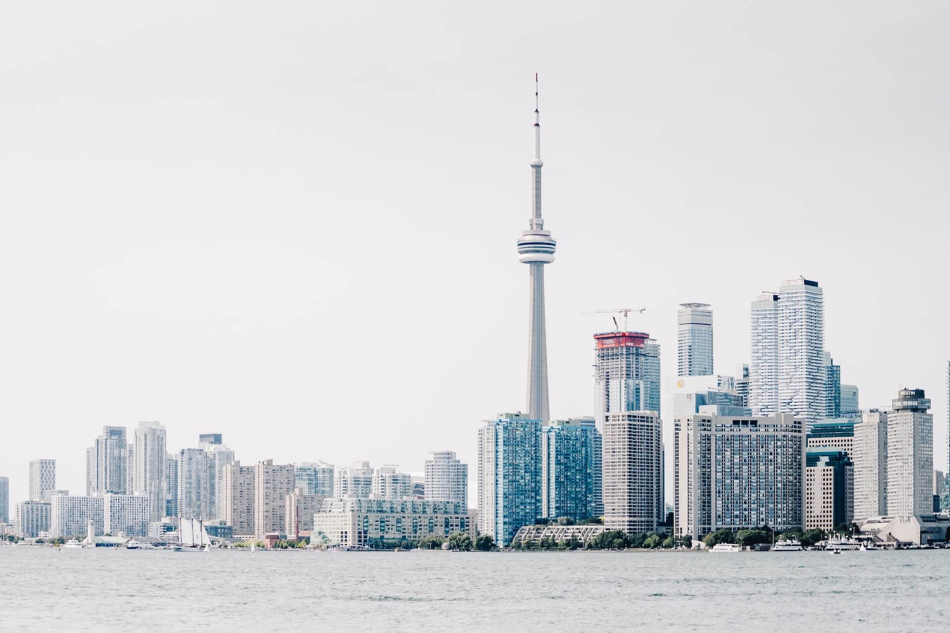How To Choose The Right SEO Company In Toronto - Mediafy